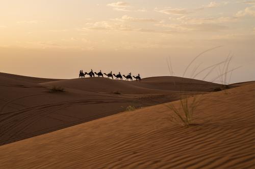 Kamelkarawane Sahara